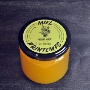 Miel Printemps 500g